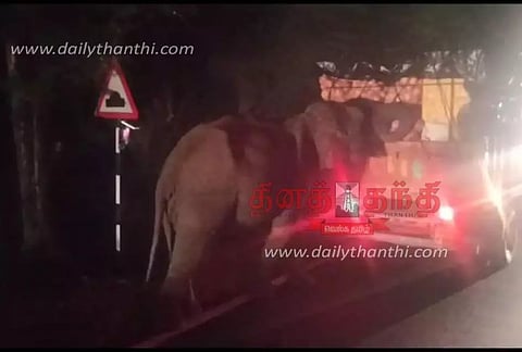 பண்ணாரி சோதனைச்சாவடி அருகே காய்கறி வேனை துரத்திய காட்டு யானை