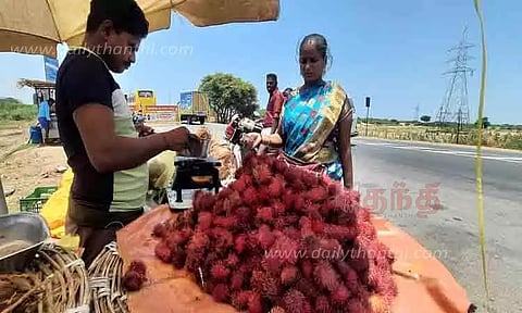 ரம்புட்டான் பழங்கள் விற்பனை விறுவிறுப்பு