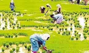 அனைத்து கிராம ஒருங்கிணைந்த வேளாண் வளர்ச்சி திட்டத்தில் விவசாயிகளுக்கு மானியம்