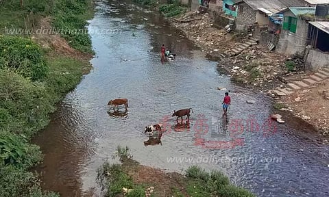 வாழைத்தோட்டம், நடுமலை ஆறுகளில் தண்ணீர் வரத்து குறைந்தது