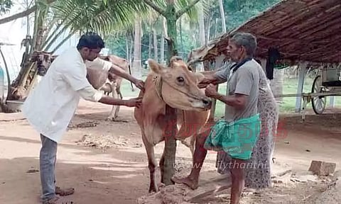 தமிழக எல்லையில் தீவிர கண்காணிப்பு