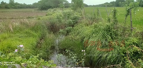 புதர் மண்டி கிடக்கும் பாசன வாய்க்காலை தூர்வார வேண்டும்