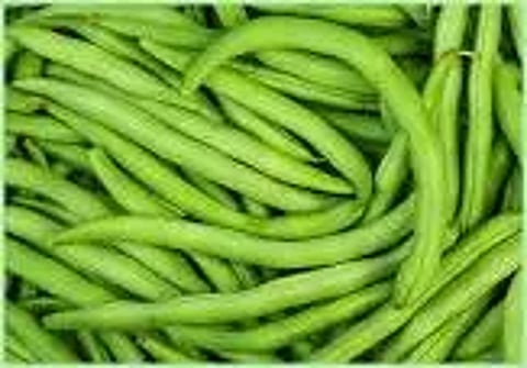 வரத்து குறைந்ததால்பீன்ஸ் விலை கிலோவிற்கு ரூ.6 அதிகரிப்புதர்மபுரி உழவர் சந்தையில் ரூ.66-க்கு விற்பனை