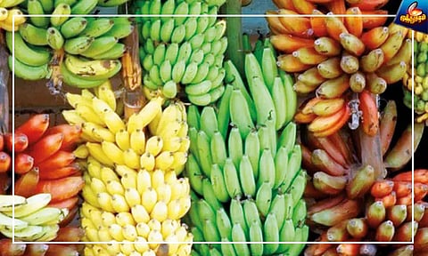 வாழைப்பழத்தின் வரலாறு..!