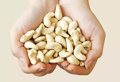 தினமும் முந்திரி சாப்பிட்டால் உடல் எடை குறையுமா?