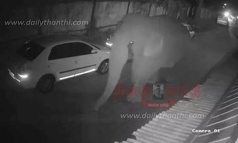 கரடி, யானை நடமாட்டம்; பொதுமக்கள் பீதி