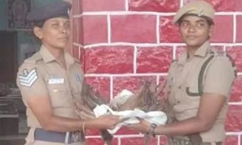 ரெயிலில் அடிபட்டு மயில் சாவு