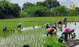 மூலங்குடியில் வேளாண் தொழில்நுட்ப பயிற்சி