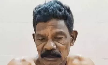 காட்டு யானை தாக்கியதில் தொழிலாளி படுகாயம்