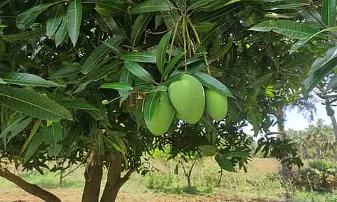 கோப்புப்படம்