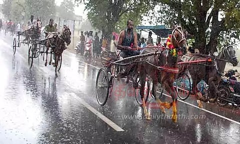 காளையார்கோவில் அருகே கொட்டும் மழையில் குதிரை வண்டி பந்தயம்