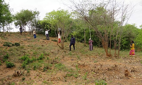 கோட்டையின் கட்டுமானத்தை அறிய குழிகள் தோண்ட ஆய்வு