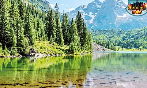 இயற்கை வளங்களைப் பற்றிய படிப்பு