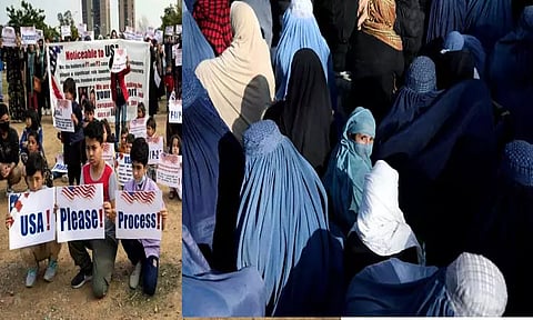 தலீபான்கள் ஆட்சிக்கு பிறகு அமெரிக்காவில் குடியேற காத்திருக்கும் 8 லட்சம் ஆப்கானியர்கள்