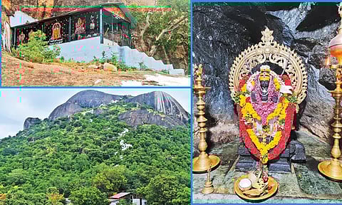 அகத்தியர் மருத்துவம் பார்த்த தோரணமலை