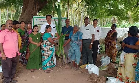 பொள்ளாச்சி அருகே விவசாயிகளுக்கு தென்னை தொழில்நுட்ப பயிற்சி