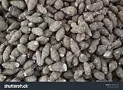 வரத்து அதிகரிப்பால்தர்மபுரி உழவர் சந்தையில் கருணைக்கிழங்கு விலை குறைந்தது