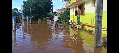 ஆண்டிப்பட்டி அருகேகுடியிருப்பு பகுதியில் தேங்கிய மழைநீர்:நோய் பரவும் அபாயம்