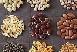 மானிய விலையில் விதைகள் வேண்டும்