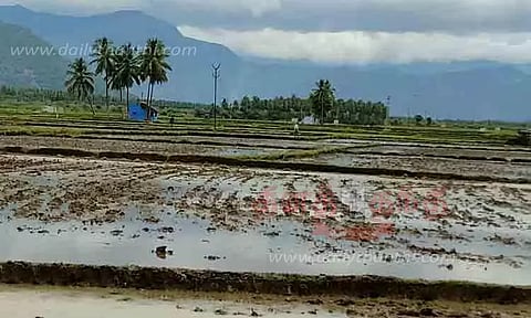 விவசாய பணிகள் தீவிரம்