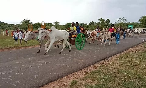 மாட்டு வண்டி எல்கை பந்தயம்