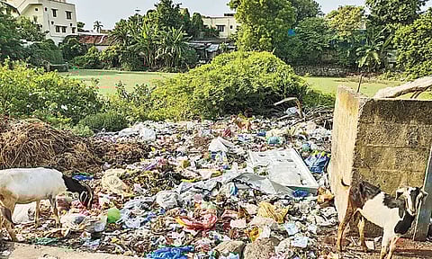 மதுராந்தகம் முருகன் கோவில் குளத்தில் துர்நாற்றம் வீசுவதால் பக்தர்கள் அவதி