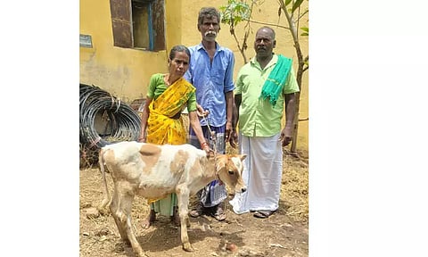 காட்டு யானை, சிறுத்தை அட்டகாசம்