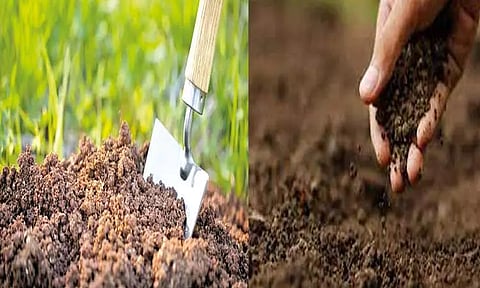 மண் ஆய்வுக்கு மாதிரி எடுப்பது எப்படி?