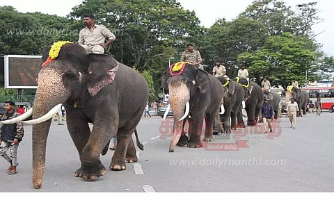 தசரா யானைகள் ரூ.68 லட்சத்திற்கு காப்பீடு மாவட்ட நிர்வாகம் ஏற்பாடு