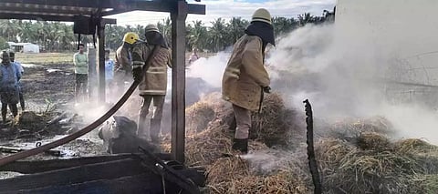 மாட்டு கொட்டகையில் பயங்கர தீ; கன்றுக்குட்டி, ஆடுகள் பலி