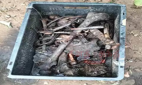 தேவகோட்டையில் கழிவறை தொட்டியை சுத்தம் செய்தபோது மனித எலும்புக்கூடு கிடந்ததால் பரபரப்பு