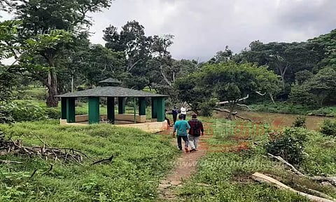 மலர் செடிகள் நடவு செய்து அழகுபடுத்தப்படுமா?