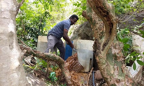 கல்வராயன்மலையில்சாராய ஊறல் அழிப்பு