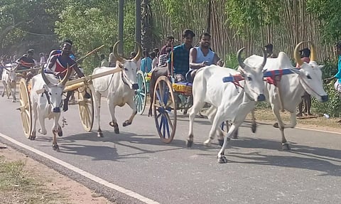 மாட்டு வண்டி எல்கை பந்தயம்