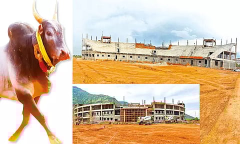 அலங்காநல்லூரில் ரூ.44 கோடியில் உருவாகி வருகிறது ஜல்லிக்கட்டு மைதானம்