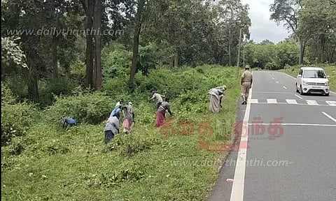 முதுமலையில் சாலையோர புதர்கள் அகற்றம்