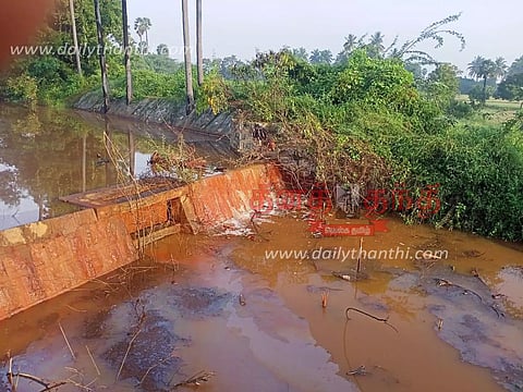 பெருந்துறை சிப்காட் தொழிற்சாலைகளில் இருந்து சுத்திகரிக்காமல் வெளியேற்றப்படும் சாயக்கழிவால் பாதிக்கப்படும் நீர்நிலைகள்- நடவடிக்கை எடுக்க பொதுமக்கள் கோரிக்கை