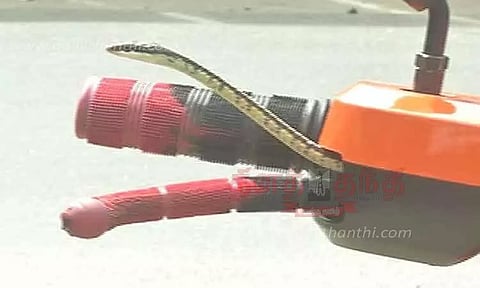 மோட்டார் சைக்கிளில் புகுந்த பாம்பால் பரபரப்பு