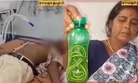 வகுப்பறையில் மாணவனை கடித்த விஷப்பாம்பு - பாம்போடு மருத்துவமனைக்கு வந்ததால் பரபரப்பு