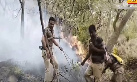 தென்காசி: மேற்குத் தொடர்ச்சி மலைப்பகுதியில் காட்டுத்தீ