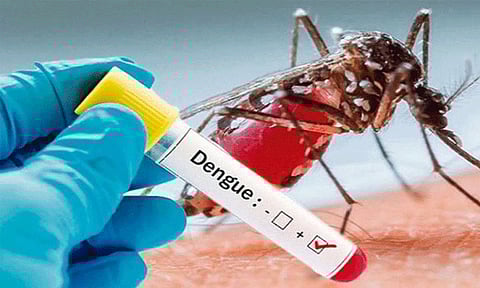 தமிழகத்தில் ஒரு வாரத்தில் 113 பேருக்கு டெங்கு.! மருத்துவத்துறை தகவல்