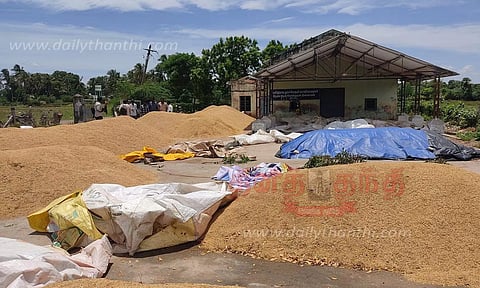 குவிந்து கிடக்கும் நெல்மணிகள்