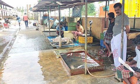1 கிலோ மத்தி மீன் ரூ.100-க்கு விற்பனை