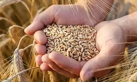 கோப்புப்படம்