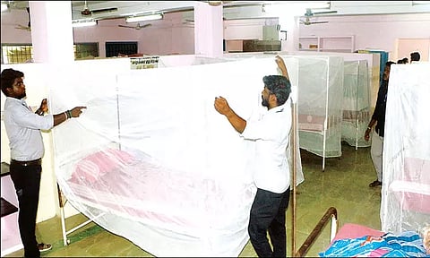 டெங்கு பரவல் எதிரொலி: 3 அரசு ஆஸ்பத்திரிகளில் தனிவார்டு அமைப்பு