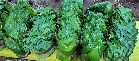 சுப நிகழ்ச்சிகள், கோவில் விழாக்களில் பிளாஸ்டிக் வெற்றிலைக்கு தடை விதிக்க வேண்டும்: உடன்குடி வியாபாரிகள் கோரிக்கை