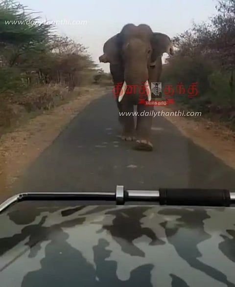 பவானிசாகர் அருகே வனத்துறையினர் வாகனத்தை துரத்திய காட்டு யானை