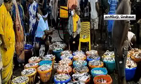 புரட்டாசி மாதம் நாளை தொடங்குவதால், காசிமேட்டில் மீன் வாங்க குவிந்த அசைவ பிரியர்கள்.!