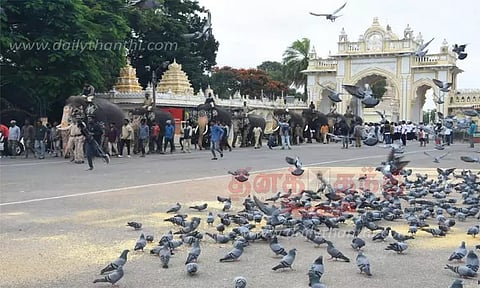 விநாயகர் சதுர்த்தி பண்டிகையையொட்டி தசரா யானைகளுக்கு இன்று சிறப்பு பூஜை