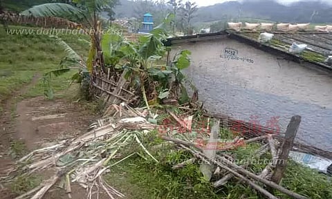 ஊத்து மலை கிராம தேயிலை தோட்டத்தில் முகாமிட்டுள்ள அரிக்கொம்பன்